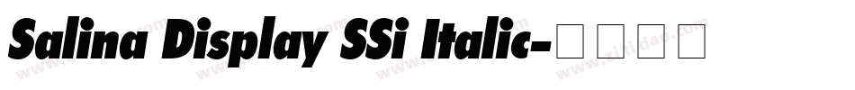 Salina Display SSi Italic字体转换